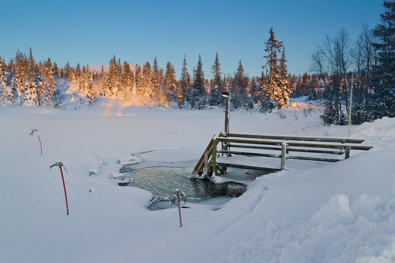 A hole cut in river ice with a wooden ladder, snow-covered forest behind